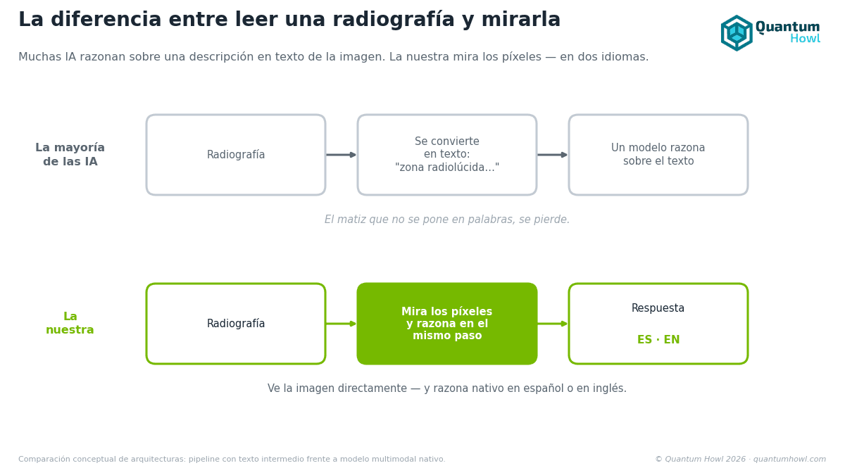 La mayoría de las IAs que «leen» radiografías no las miran. La nuestra sí